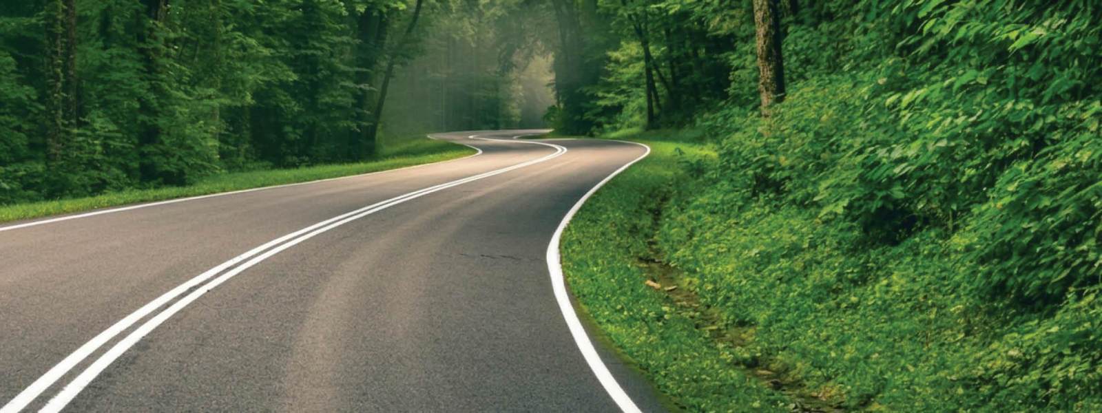 Commercial highway vegetation management by LanGuard